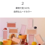 ベターザンチーク BETTER THAN | COSME Re:MAKE | 詳細画像6 
