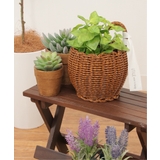 クルミ | ユティルポットS | Lbc with Life