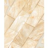 シェルコースターラウンド2枚 | Lbc with Life | 詳細画像6