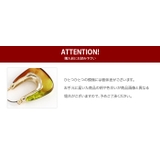 ピアス ステンレスポスト 低アレルギー | CREAM-DOT | 詳細画像12