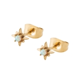 ゴールド | サージカルステンレス 金属アレルギー対応 ピアス | CREAM-DOT