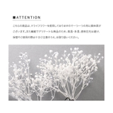 4点セット ヘアピン ドライフラワー | CREAM-DOT | 詳細画像7