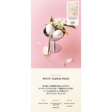 Bananal バナナル Scented Repair Essence | BANANAL | 詳細画像6 