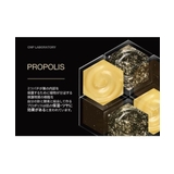 CNP Laboratory PROPOLIS AMPULE MIST 100 | TRENDCOSME SELECTION | 詳細画像6