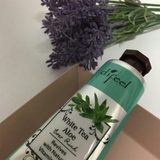 Difeel(ディフィール) ホワイトティー＆アロエ ナチュラル | dreamjapan | 詳細画像11 