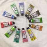 Difeel ベビーパウダー ナチュラル | dreamjapan | 詳細画像3 