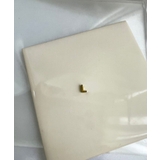 イニシャルチャーム Stainless 316L | earyear | 詳細画像38 