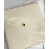 イニシャルチャーム Stainless 316L | earyear | 詳細画像44 