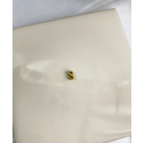 イニシャルチャーム Stainless 316L | earyear | 詳細画像45 