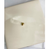 V_G | イニシャルチャーム Stainless 316L | earyear