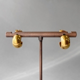 ゴールド | プランプステンレスロールフープピアス 金属アレルギー対応 アレルギー対応ピアス | FACION