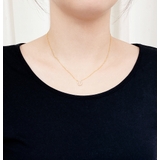 ミニ馬蹄ジルコニアネックレス ホースシュー レディース | FACION | 詳細画像7 