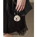 ホワイト・マルチーズ | Fashion Letter ファッションレター | Fashion Letter