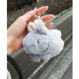 ウサギ・グレー | Fashion Letter ファッションレター | Fashion Letter