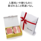 グッドデザイン賞 受賞 mii | ギャレリア Bag＆Luggage | 詳細画像4 