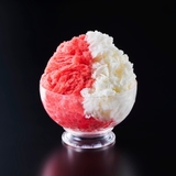 正規品 トフィー かき氷器 | ギャレリア Bag&Luggage | 詳細画像31