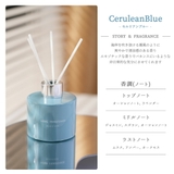 リードディフューザー 120ml スティック | GOLWIS | 詳細画像8