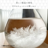 ストームグラス 気象計 雑貨 | GOLWIS | 詳細画像10