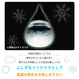 ストームグラス 気象計 雑貨 | GOLWIS | 詳細画像4
