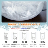 ストームグラス 気象計 雑貨 | GOLWIS | 詳細画像5