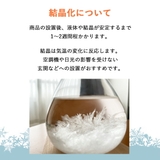 ストームグラス 気象計 雑貨 | GOLWIS | 詳細画像6