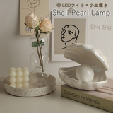 シェル ランプ 小物入れ | GOLWIS | 詳細画像1 