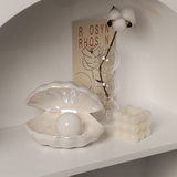 シェル ランプ 小物入れ | GOLWIS | 詳細画像10 