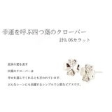 ピアス レディース 豪華12粒 | gulamu jewelry | 詳細画像2