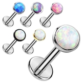 ボディピアス 14G 4mm | ピアス専門店HOMESLICEPRODUCTIONS | 詳細画像1 