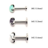 ボディピアス 14G 16G | ピアス専門店HOMESLICEPRODUCTIONS | 詳細画像7 