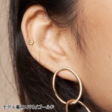 ボディピアス CZ クラウン＆パウ | ピアス専門店HOMESLICEPRODUCTIONS | 詳細画像8 