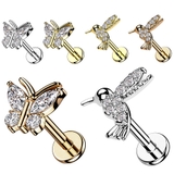 ボディピアス 16G パヴェ | ピアス専門店HOMESLICEPRODUCTIONS | 詳細画像1 