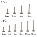 ボディピアス ラブレットスタッド 20G | ピアス専門店HOMESLICEPRODUCTIONS | 詳細画像13 