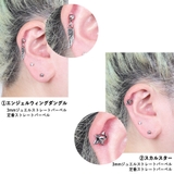 16G ストレートバーベル 5点セット | ピアス専門店HOMESLICEPRODUCTIONS | 詳細画像9