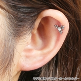 ボディピアス センターボール トライアングル | ピアス専門店HOMESLICEPRODUCTIONS | 詳細画像8 