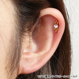 ボディピアス センターボール トライアングル | ピアス専門店HOMESLICEPRODUCTIONS | 詳細画像15 