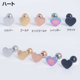 ボディピアス フラットトップ グラフィック | ピアス専門店HOMESLICEPRODUCTIONS | 詳細画像5 