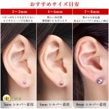 316Lサージカルステンレス 2～8mmボールピアス 1ペア | ピアス専門店HOMESLICEPRODUCTIONS | 詳細画像34 