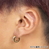 ピアス 316Lステンレス ポスト | ピアス専門店HOMESLICEPRODUCTIONS | 詳細画像12