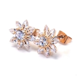 316Lステンレスポスト CZトップピアス 1ペア レディース メンズ | ピアス専門店HOMESLICEPRODUCTIONS | 詳細画像14 