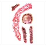 タトゥーシール 4枚セット 傷 | ピアス専門店HOMESLICEPRODUCTIONS | 詳細画像4 