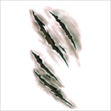 タトゥーシール 4枚セット 傷 | ピアス専門店HOMESLICEPRODUCTIONS | 詳細画像2 