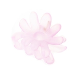 フラワークリップ | INGNI  | 詳細画像6 