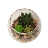 テラリウム | Flying Tiger Copenhagen | 詳細画像4 