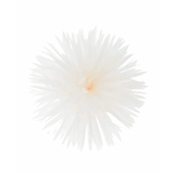 フェザーフラワーコサージュ | a.v.v【WOMEN】 | 詳細画像7 