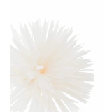 フェザーフラワーコサージュ | a.v.v【WOMEN】 | 詳細画像9 