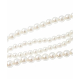 パール調二連ネックレス | a.v.v【WOMEN】 | 詳細画像6 