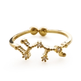 いて座 | リング 指輪 十二星座リング | Jewel vox