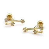 おうし座 | ピアス レディース 星座 | Jewel vox