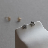 ピアス レディース ステンレス製 | Jewel vox | 詳細画像6 